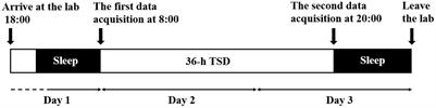 Effect of total sleep deprivation on effective EEG connectivity for young male in resting-state networks in different eye states